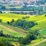 Scopri le Marche: I 5 Panorami più Incantevoli da Ammirare