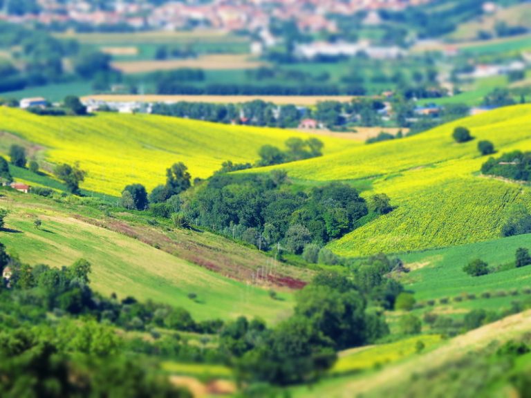 Scopri le Marche: I 5 Panorami più Incantevoli da Ammirare